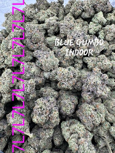 7LEAF THCA INDOOR FLOWER THC HEMP LEGAL USA