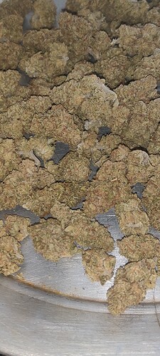 IMG_20211020_134039