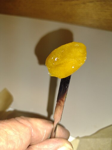 IMG_20250102_130410565