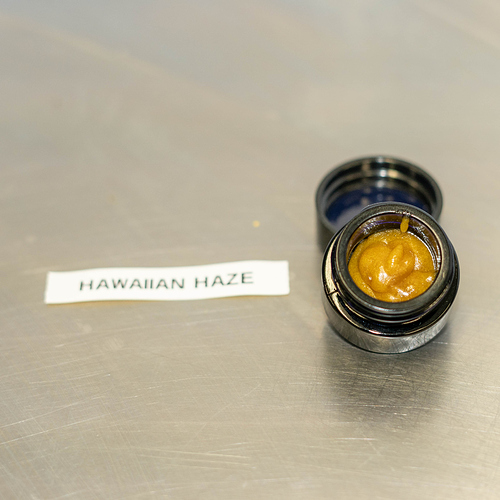 LiveResin - Hawaiian Haze