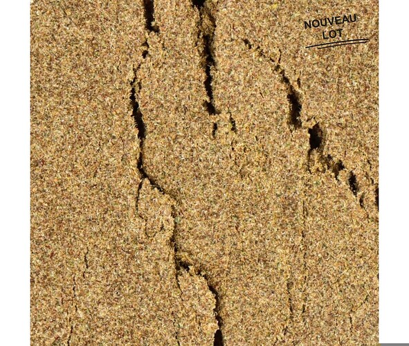 Screenshot_2025-12-09-14-00-21-508_com.android.chrome-edit