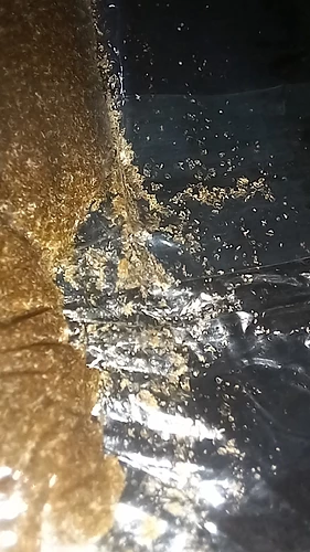 IMG_20230528_043126_817