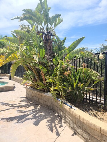 20210528_135802_copy_1200x1600