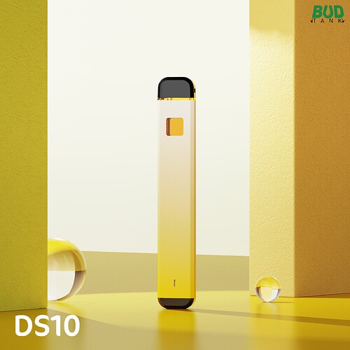 DS10
