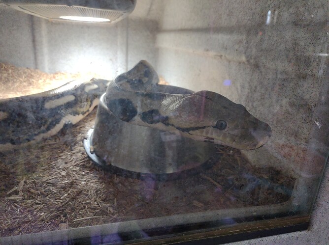 16624078267536854398824159642214