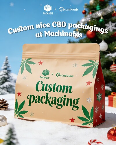 2025圣诞节宣传图-9