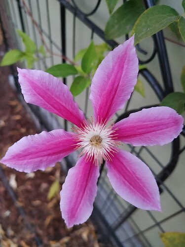 0804212025
