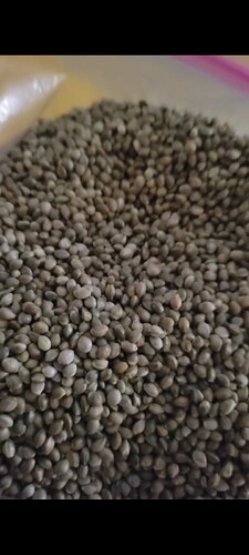 Screenshot_20250417_120814_Gallery