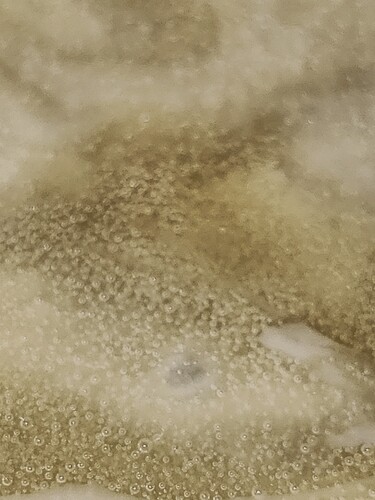 IMG_20211120_000700_HDR
