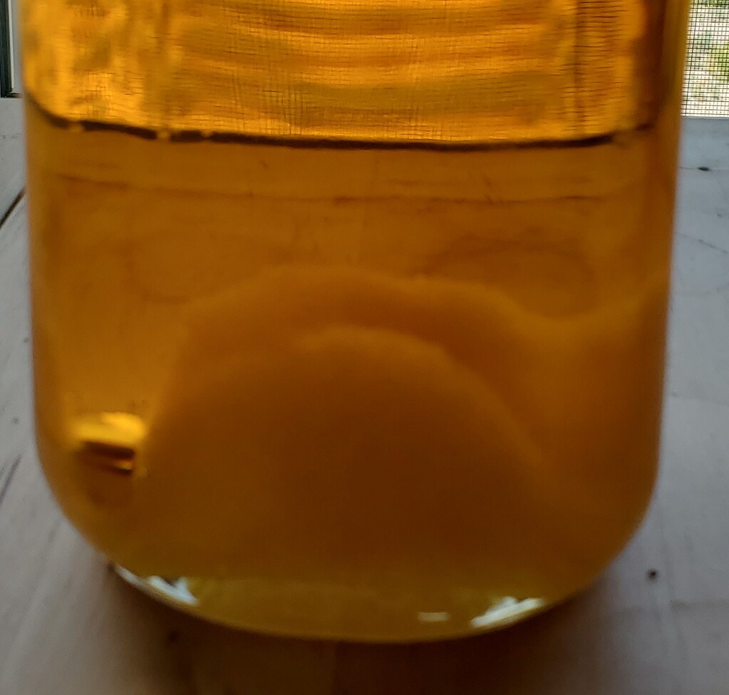 What causes a cloudy bottom in a distillate jar? Help Support and