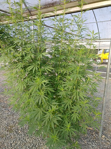 0826210900_HDR