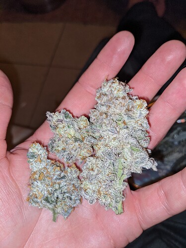 PXL_20210604_053527276