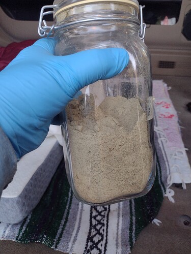 IMG_20241111_070205991