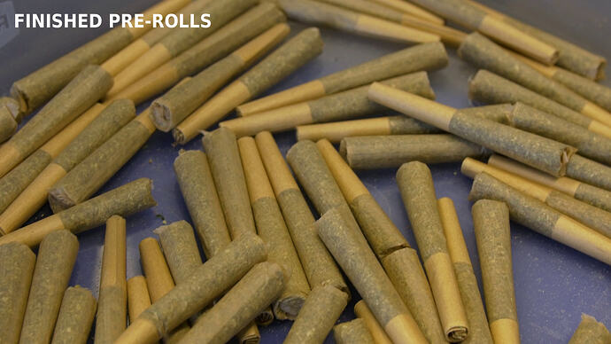09_actual_finished_prerolls_output