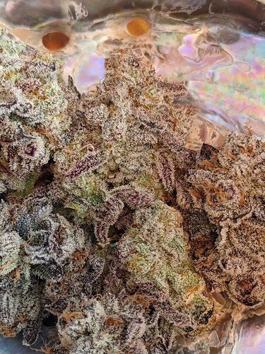 PXL_20210530_194415317