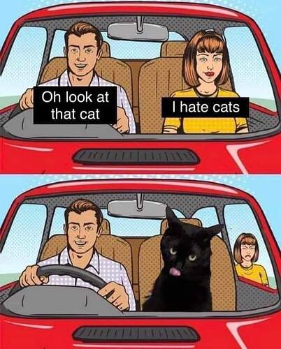 FB_IMG_1690549229208