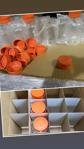 IMG_20250123_223449_121