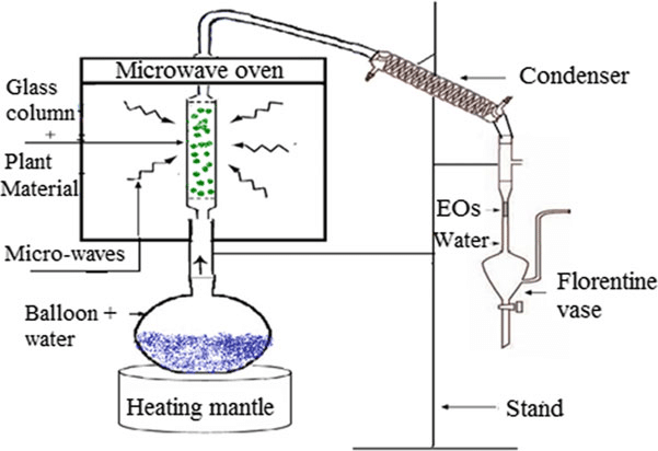 Microwave-steam-distillation-apparatus