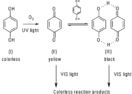 UV-induced-formation-of-colored-quinoid-structures-quinone-II-charge-transfer-complex