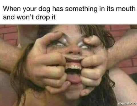 FB_IMG_1691643712881