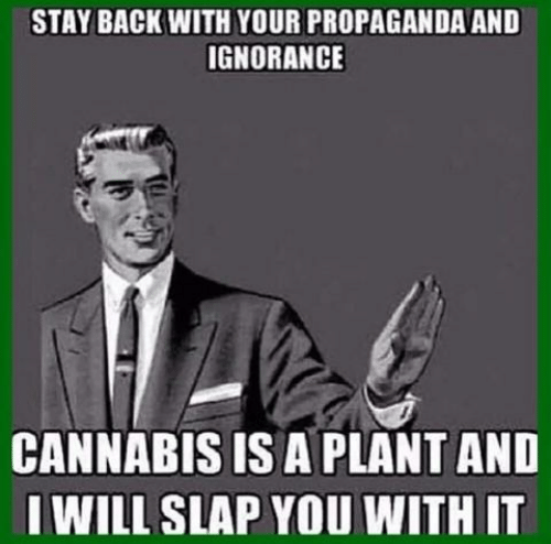 stay-back-with-your-propaganda-and-ignorance-cannabis-is-a-55173539