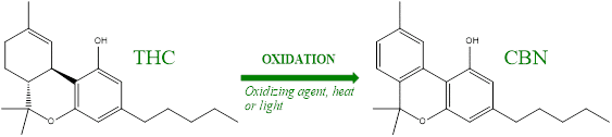 THC-oxidation-to-CBN