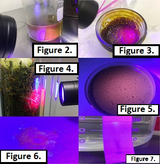 Red%20Observation%202-3%20annotated