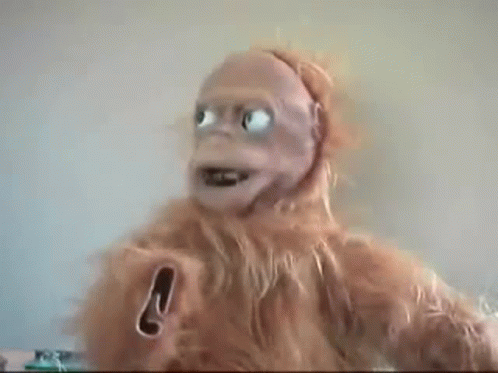 lucy-the-robot-orangutan