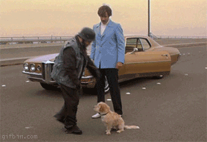 giphy
